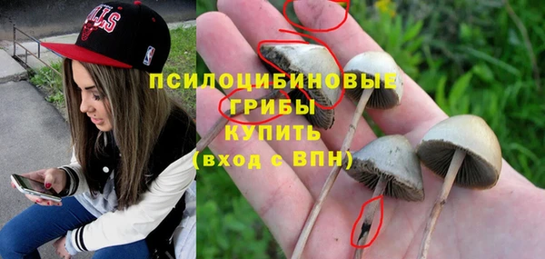 mix Лабытнанги