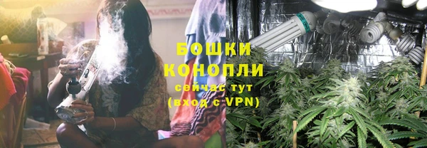 сатива Ладушкин