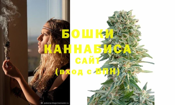 сатива Ладушкин